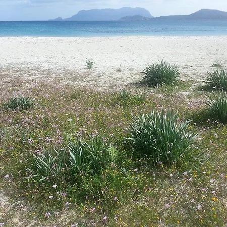 Maestrale Casa vacanze Olbia